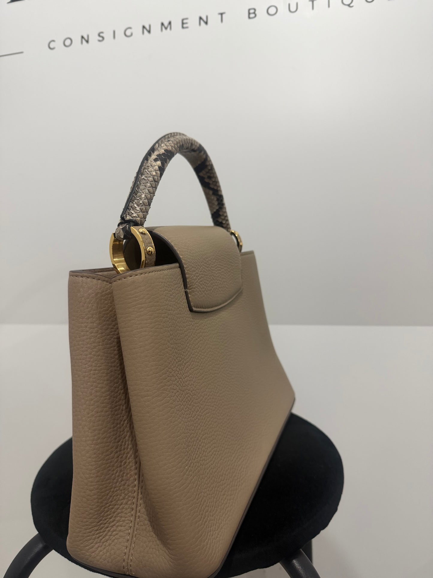 Taupe Neutral and Python Louis Vuitton Handbag