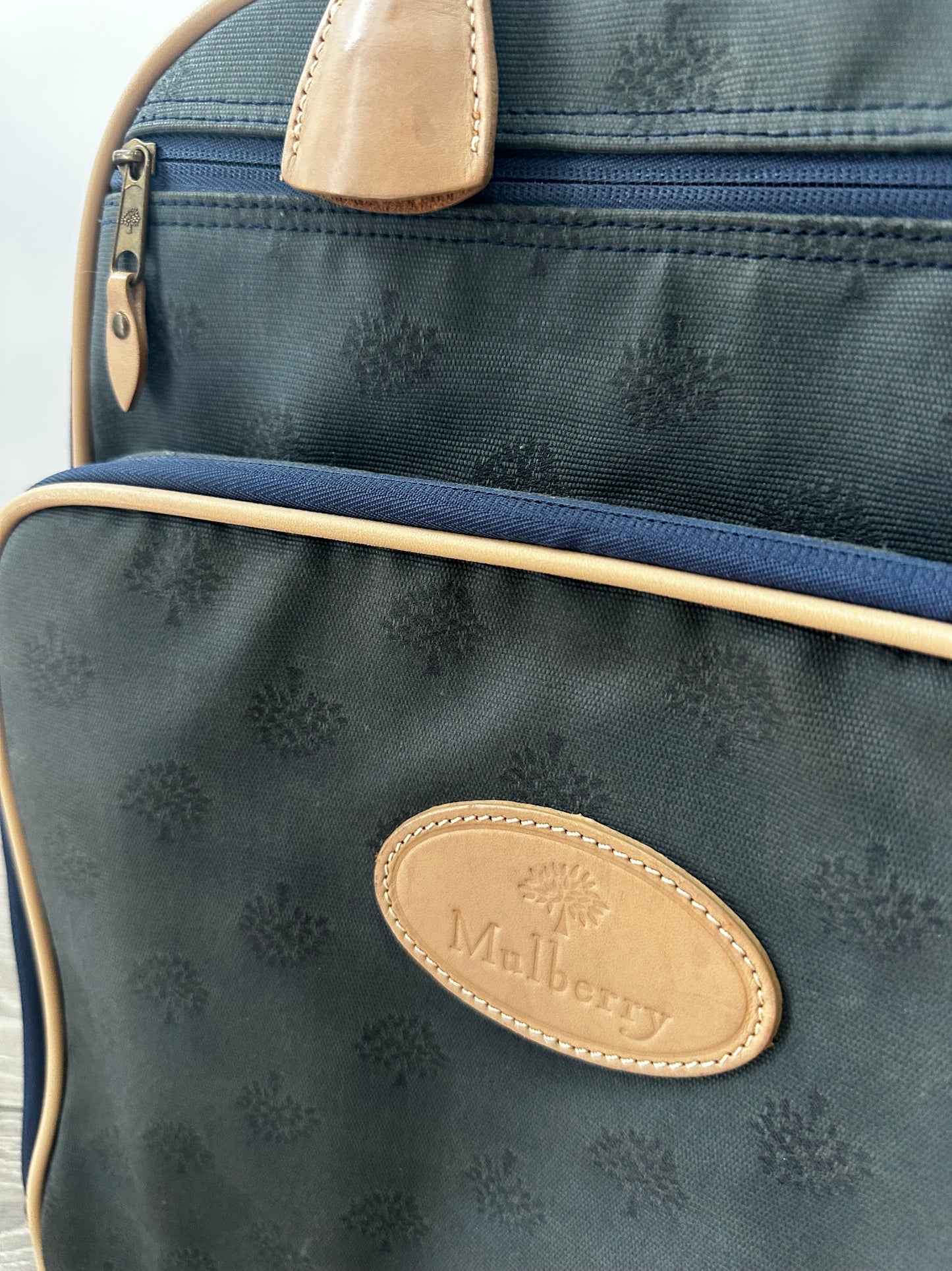 Teal Mulberry Suitcase, Small