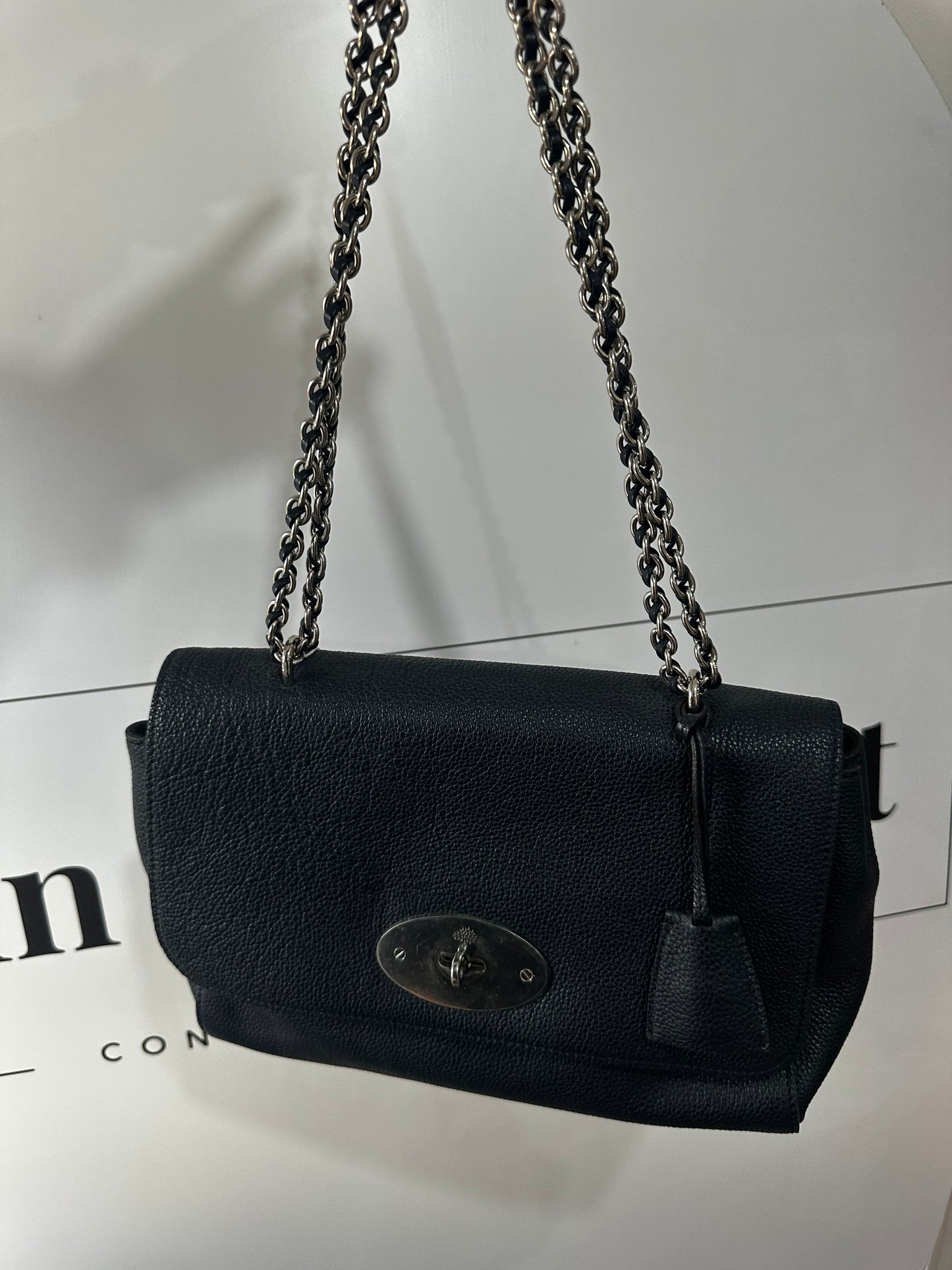 Navy Mulberry Lily, Medium