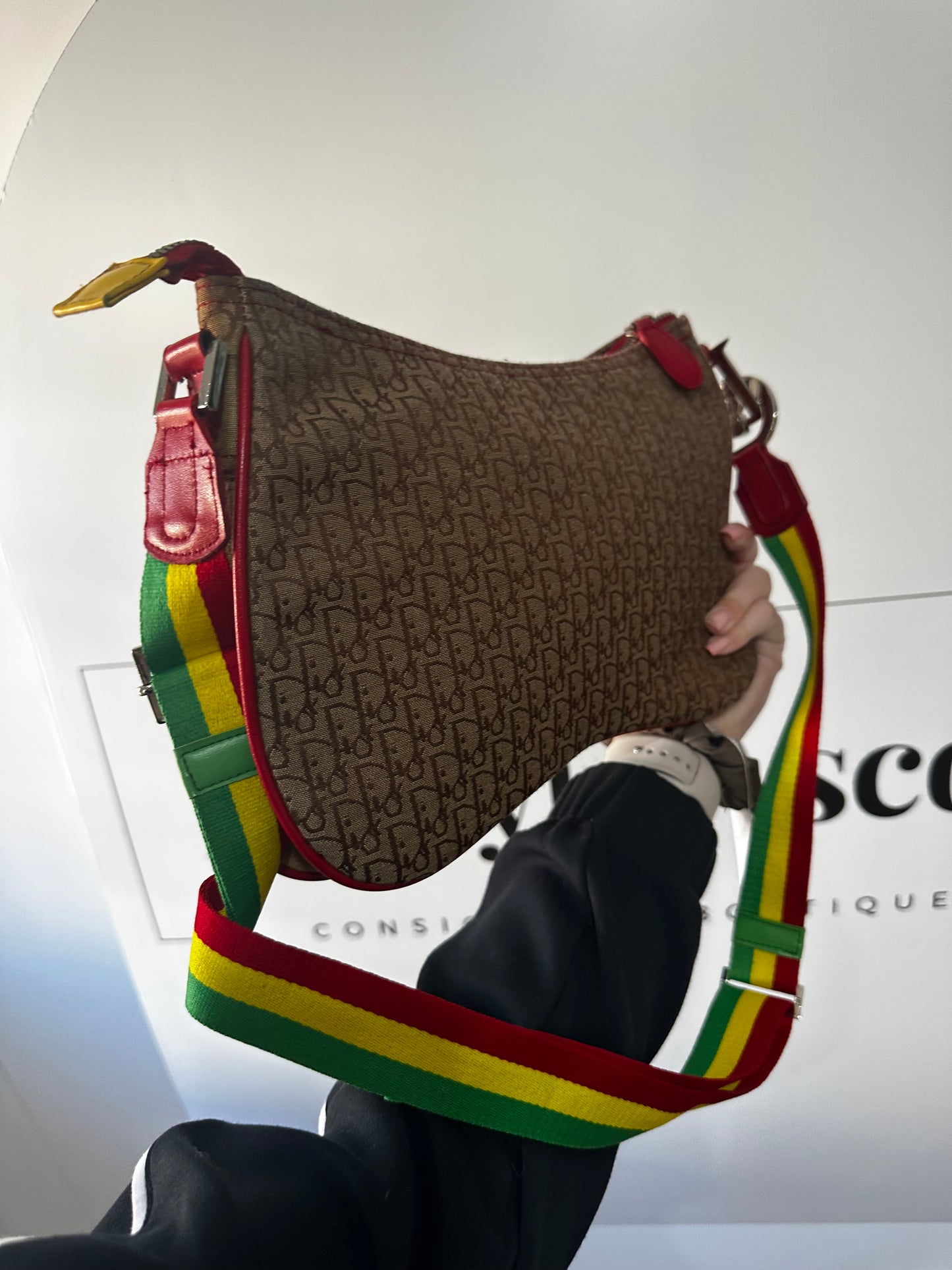 Monogram Dior Saddle Bag