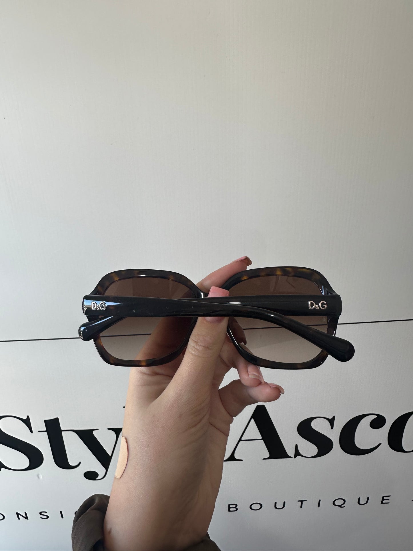 Brown Dolce & Gabbana Sunglasses