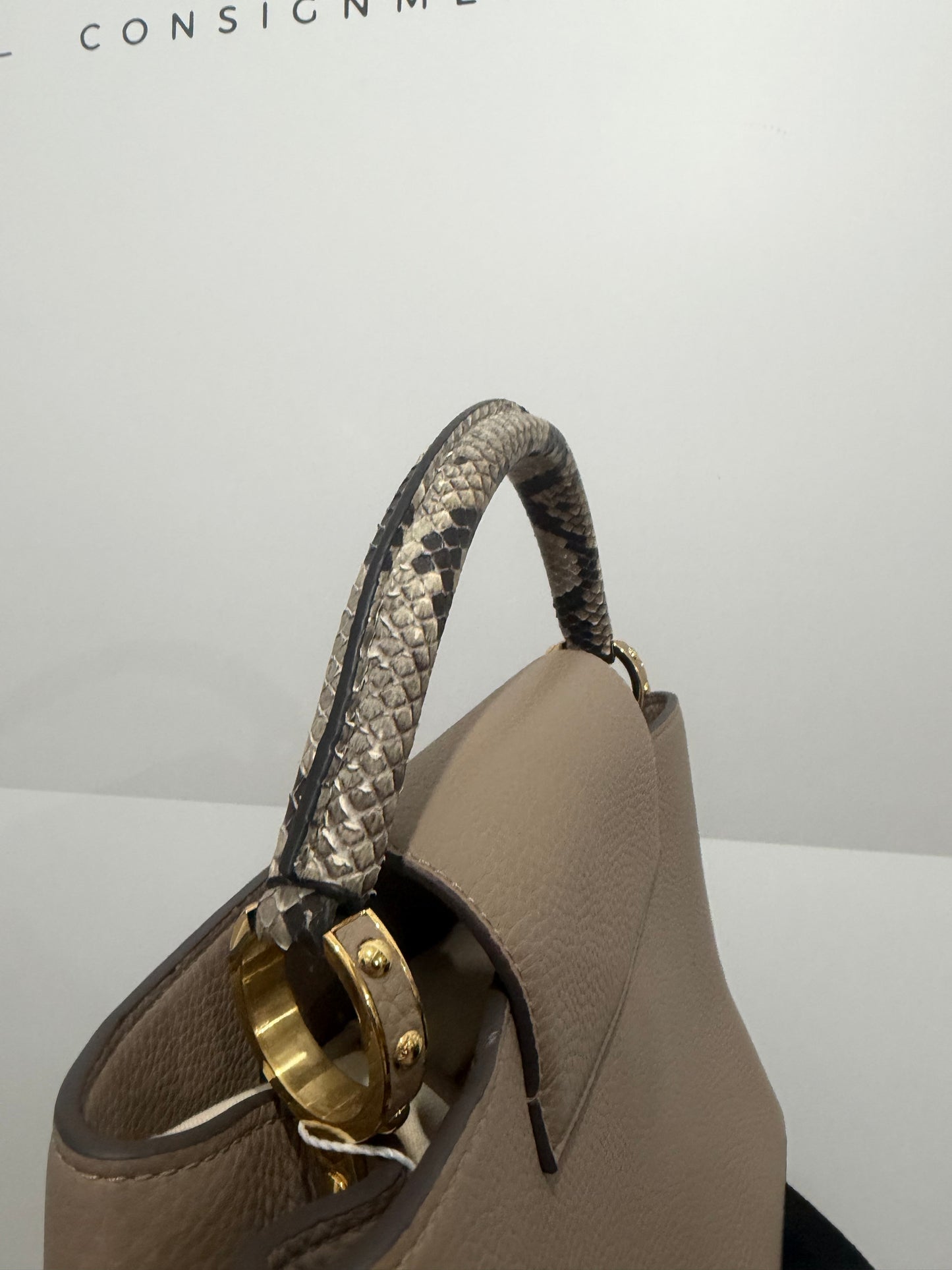 Taupe Neutral and Python Louis Vuitton Handbag
