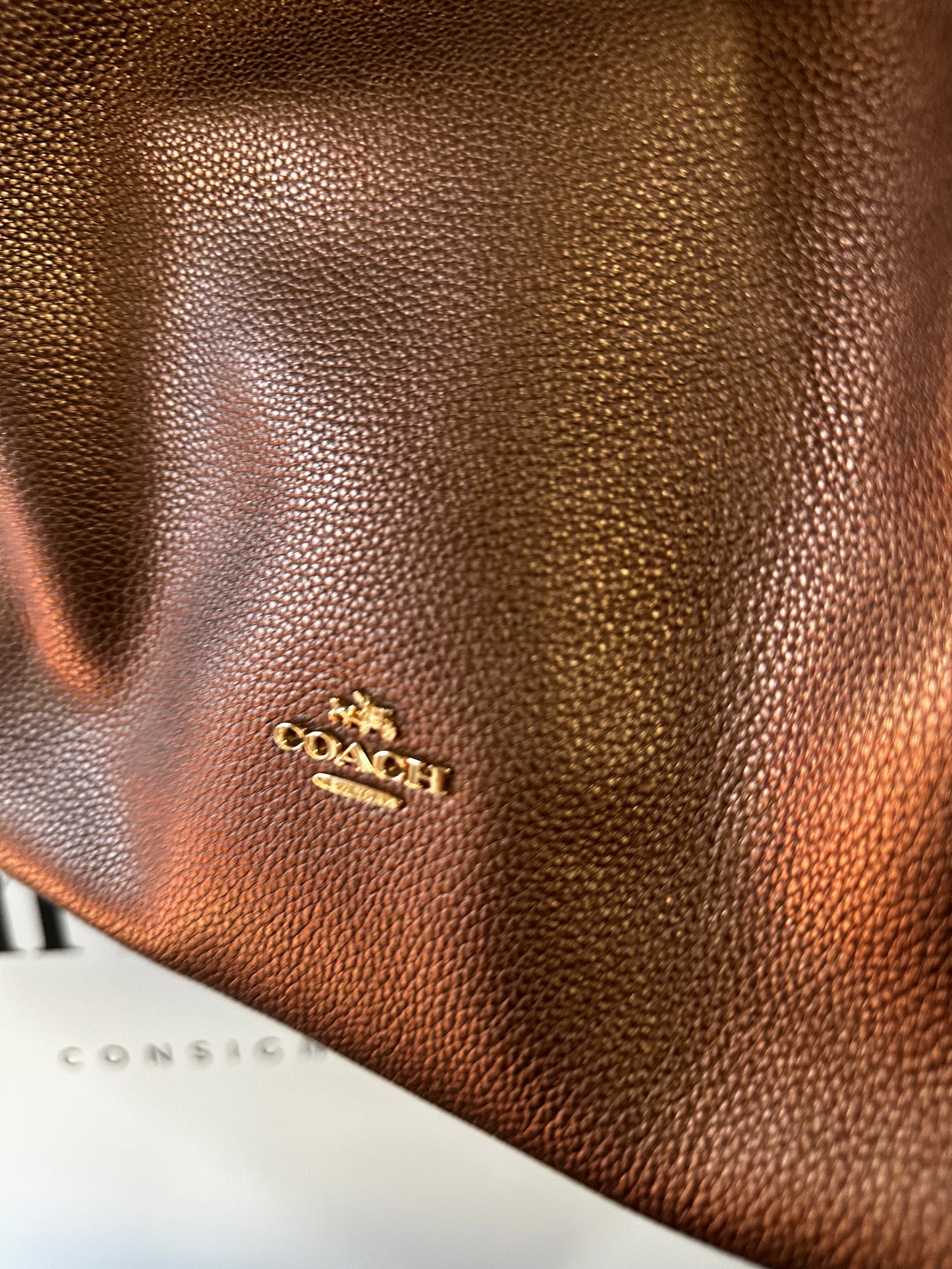 Bronze Coach Edie Shoulder Bag