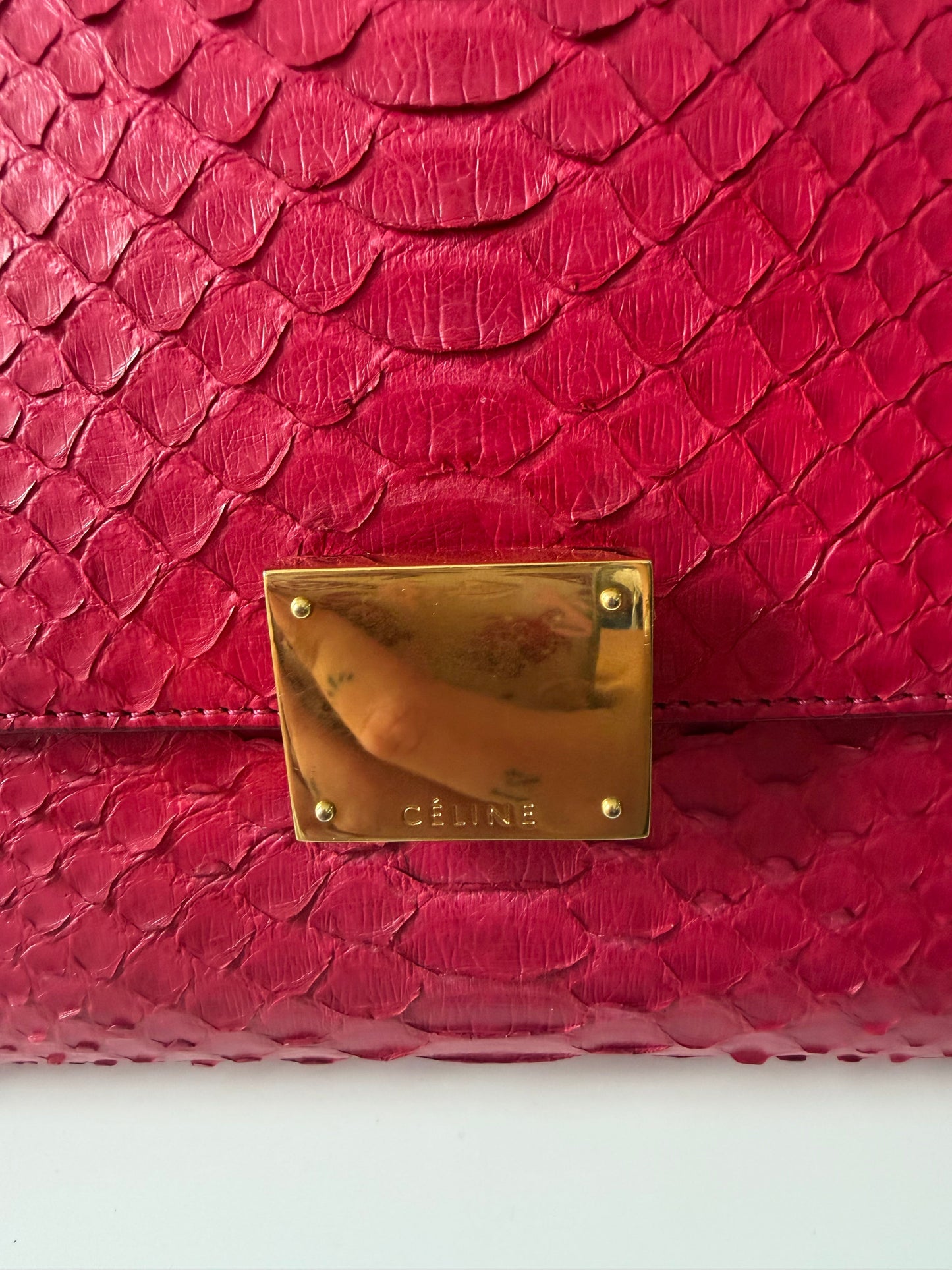 Preloved, Pink Celine Handbag, Python EXOTIC