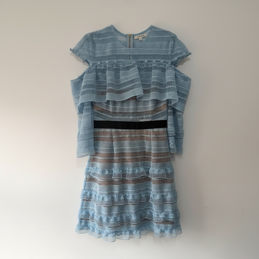 Preloved, Blue Self-Portrait Dress, UK 8