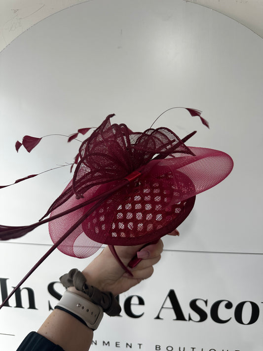 Burgundy Fascinator