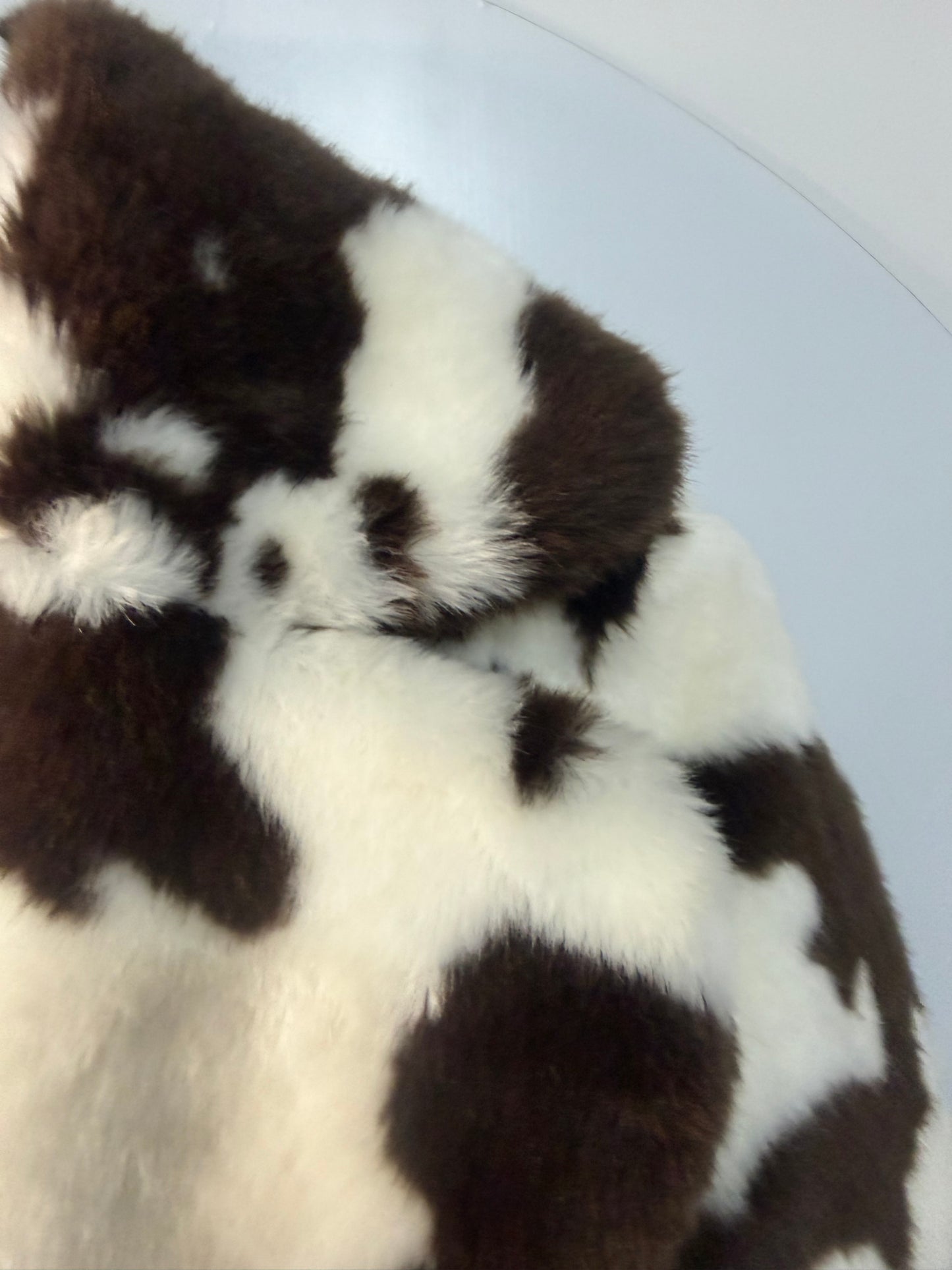 Cow Jakke Coat, Size 8-10