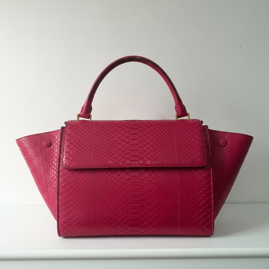 Preloved, Pink Celine Handbag, Python EXOTIC