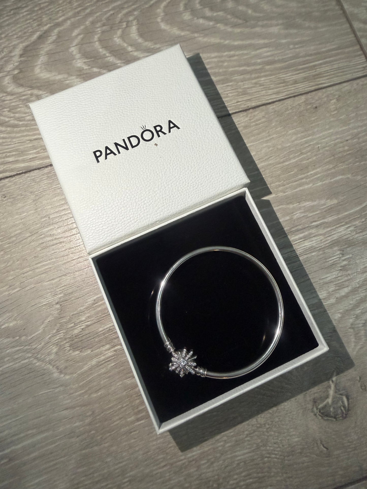 Silver Pandora Bracelet