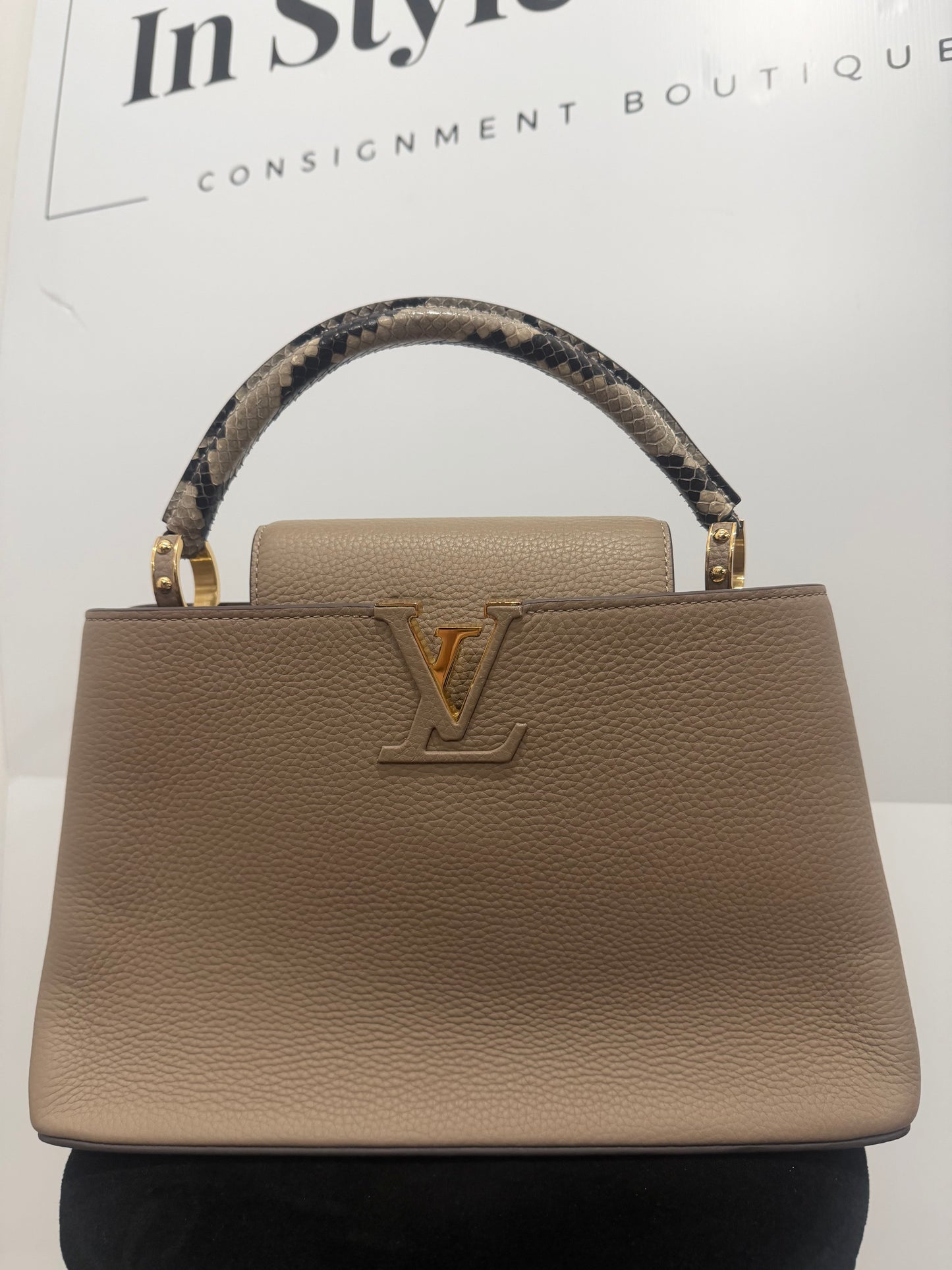 Taupe Neutral and Python Louis Vuitton Handbag
