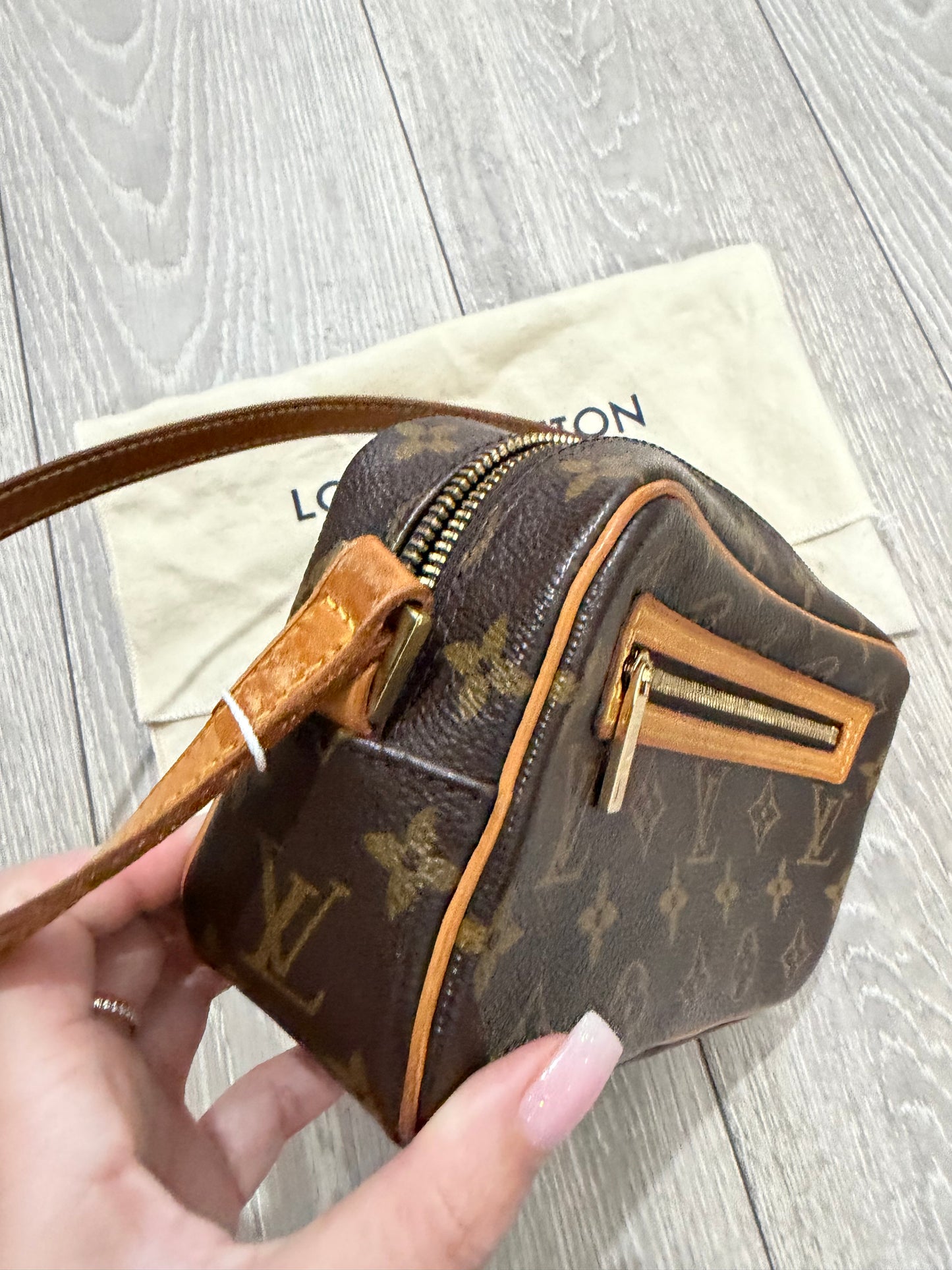 Monogram Louis Vuitton Pochette Cite Bag, Canvas
