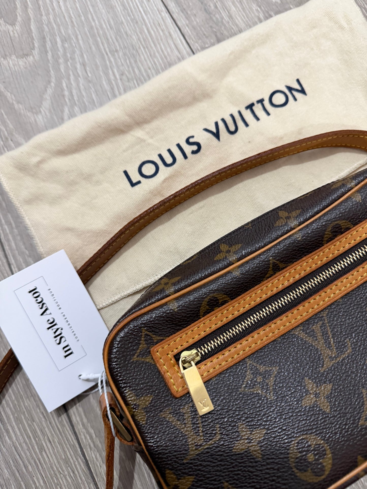 Monogram Louis Vuitton Pochette Cite Bag, Canvas