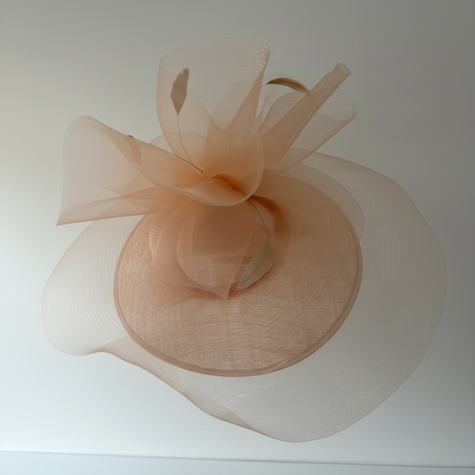 Preloved, Pink Snoxell & Gwyther Fascinator