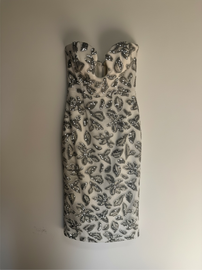 White and Silver Rebecca Vallance Brand New Dress, Size 8