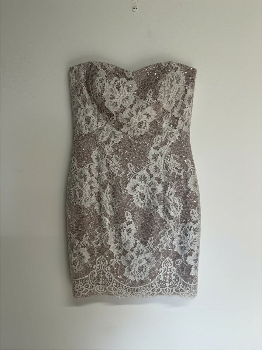Preloved Jessica McClintock Dress Size S Silver