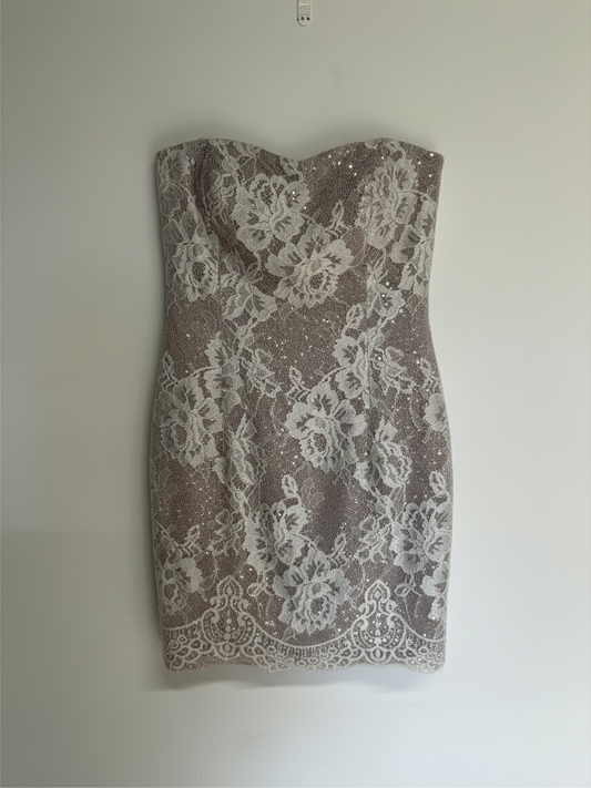 Preloved Jessica McClintock Dress Size S Silver