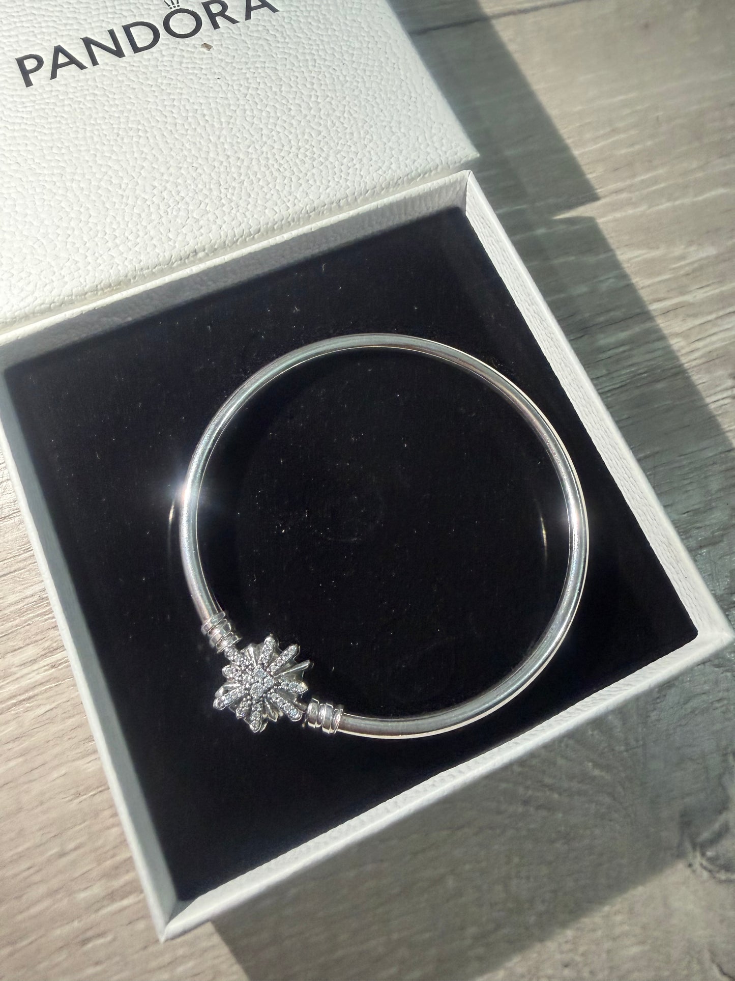 Silver Pandora Bracelet