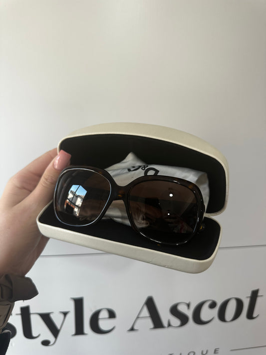 Brown Dolce & Gabbana Sunglasses